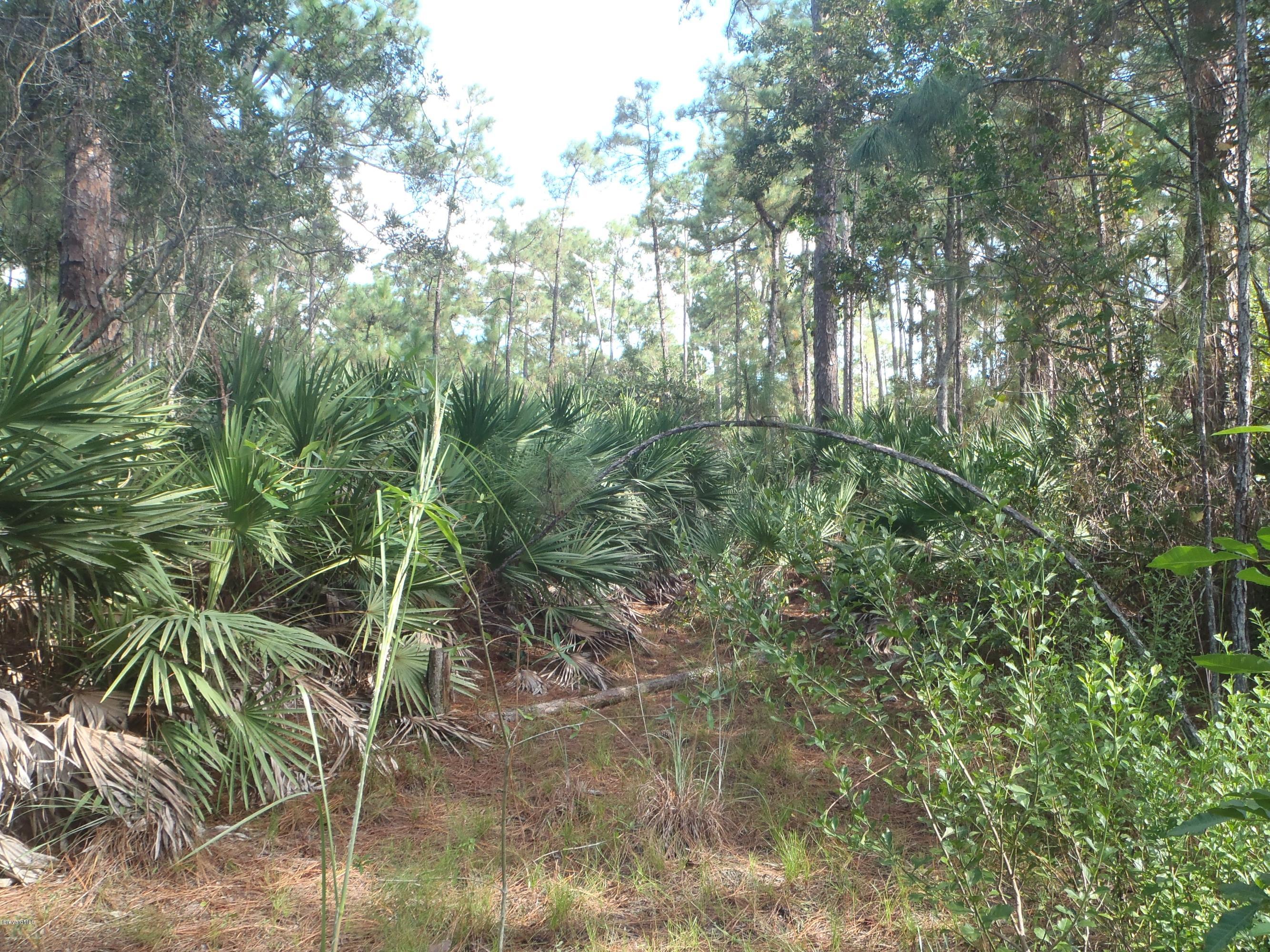 4535 Rector Road Cocoa, FL 32926 - Photo 3 of 4 Norm Holmes Land 002