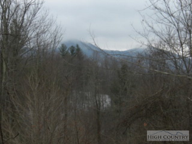 Lot 14 Rosa Road Warrensville, NC 28693 - Photo 1 of 5