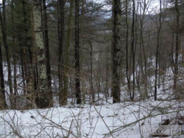 Lot 14 Rosa Road Warrensville, NC 28693 - Photo 3 of 5