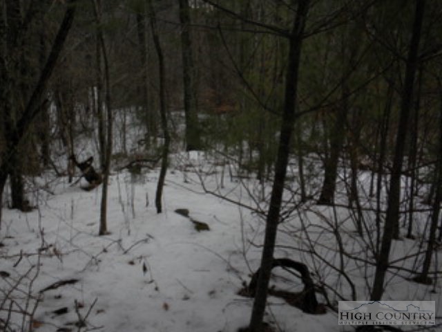 Lot 14 Rosa Road Warrensville, NC 28693 - Photo 4 of 5