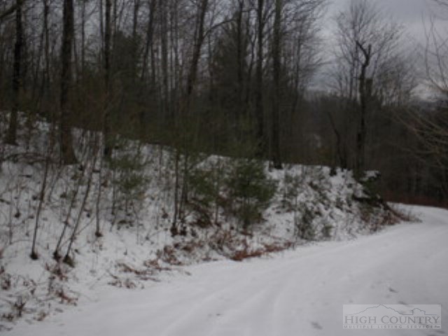 Lot 14 Rosa Road Warrensville, NC 28693 - Photo 5 of 5