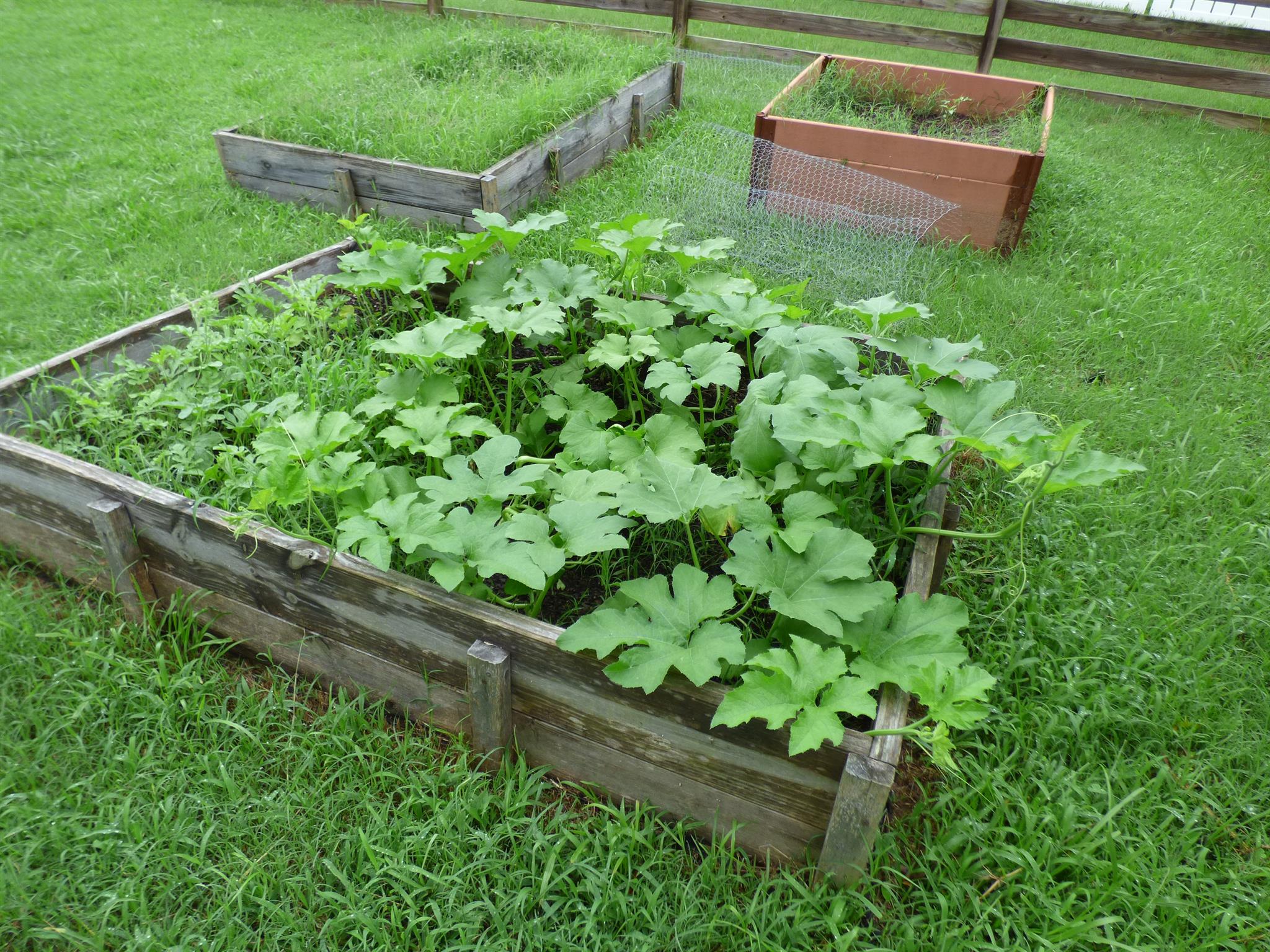 2275 Chester Harris Road Woodlawn, TN 37191 - Photo 8 of 8 Raised Gardens