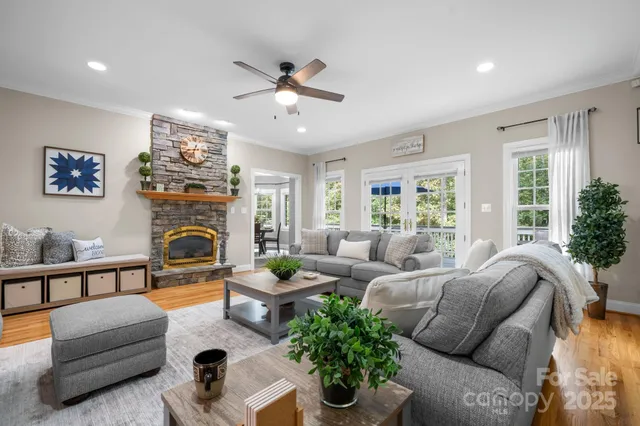 a living room with furniture flower pot and a fireplace