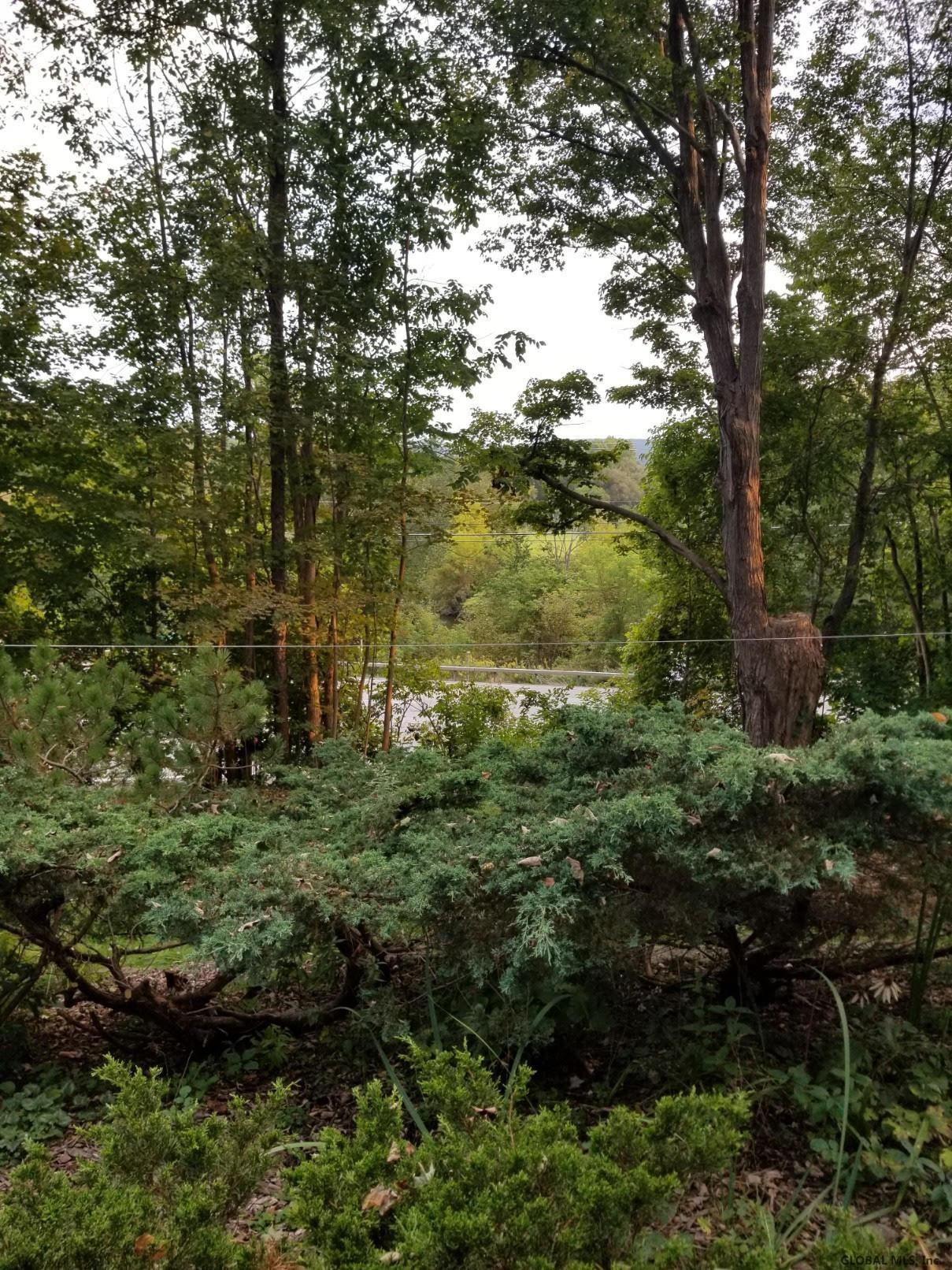 390 Rock Road Knox, NY 12023 - Photo 41 of 46 Photo 41