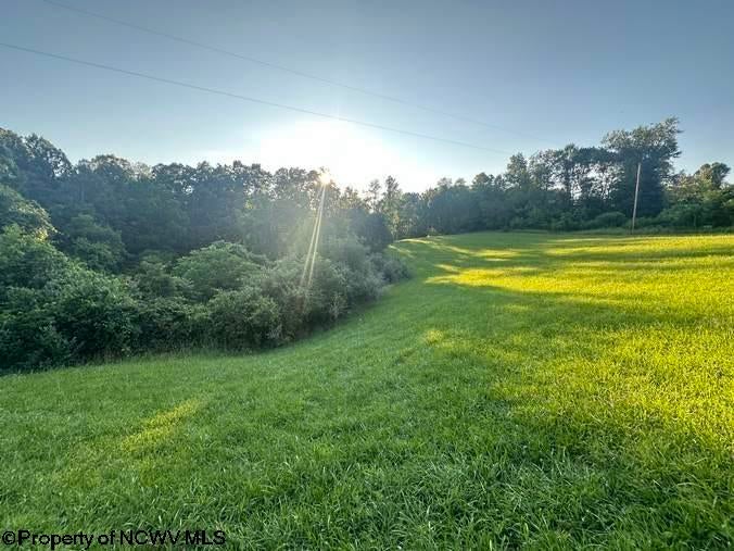 Tbd Stone Coal Road Lost Creek, WV 26385 - Photo 7 of 11 Gallery Image 7