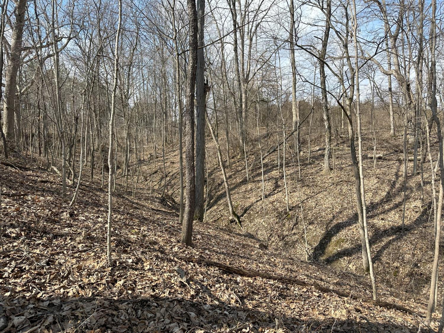 0 Wilson Road Winchester, OH 45697 - Photo 14 of 69