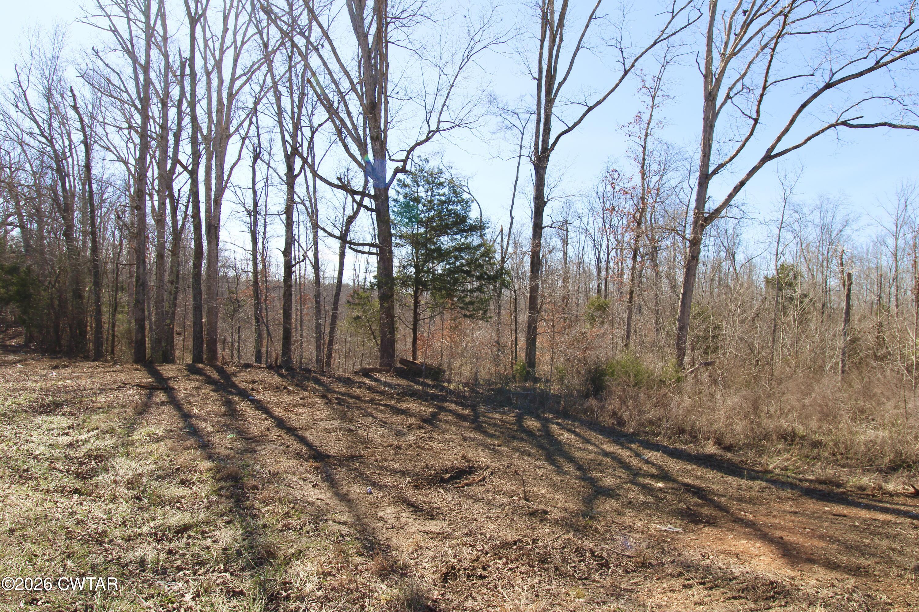 0 Shady Hill Road Lexington, TN 38351 - Photo 2 of 6 a view of a backyard of the house