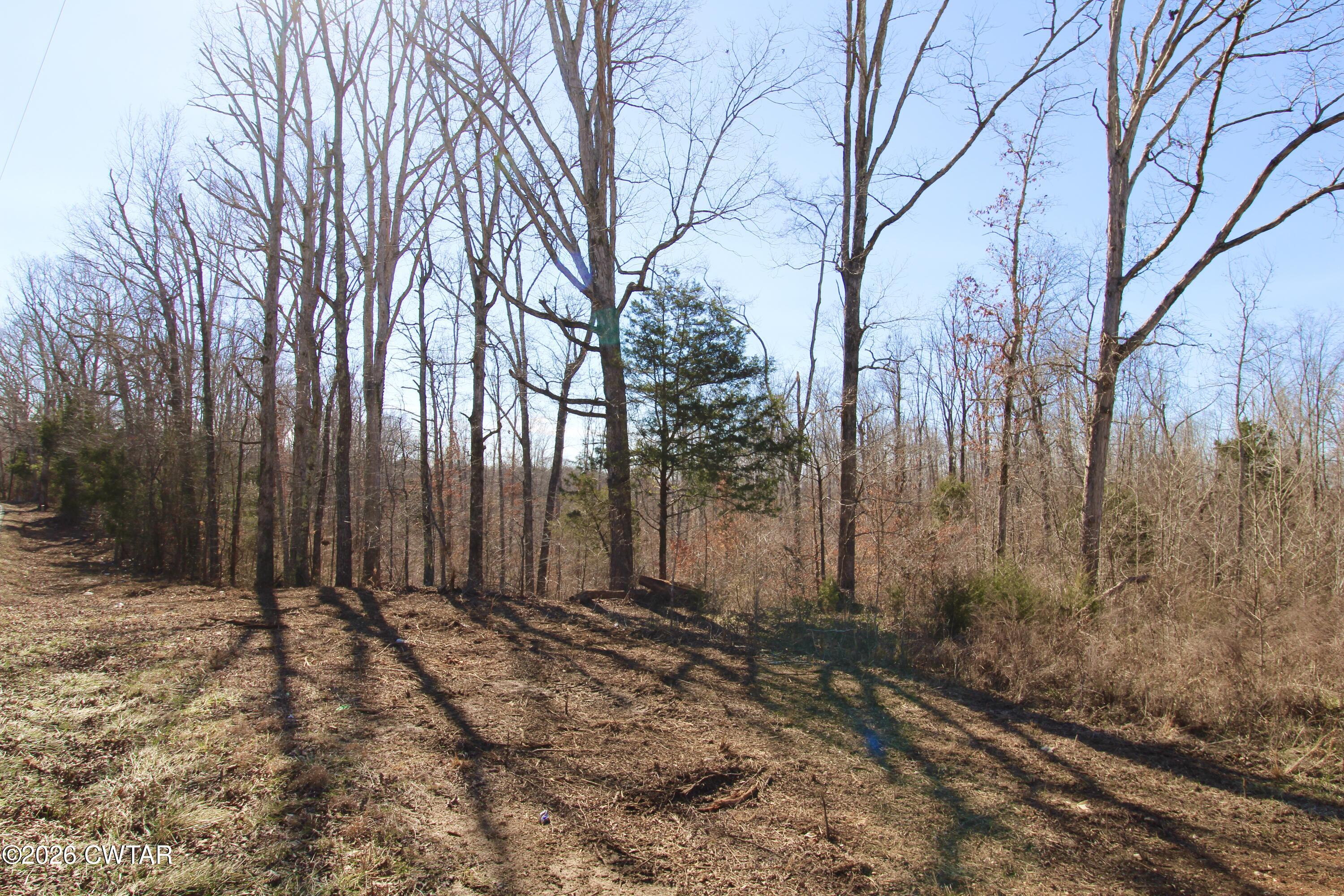 0 Shady Hill Road Lexington, TN 38351 - Photo 4 of 6 a view of a backyard of the house
