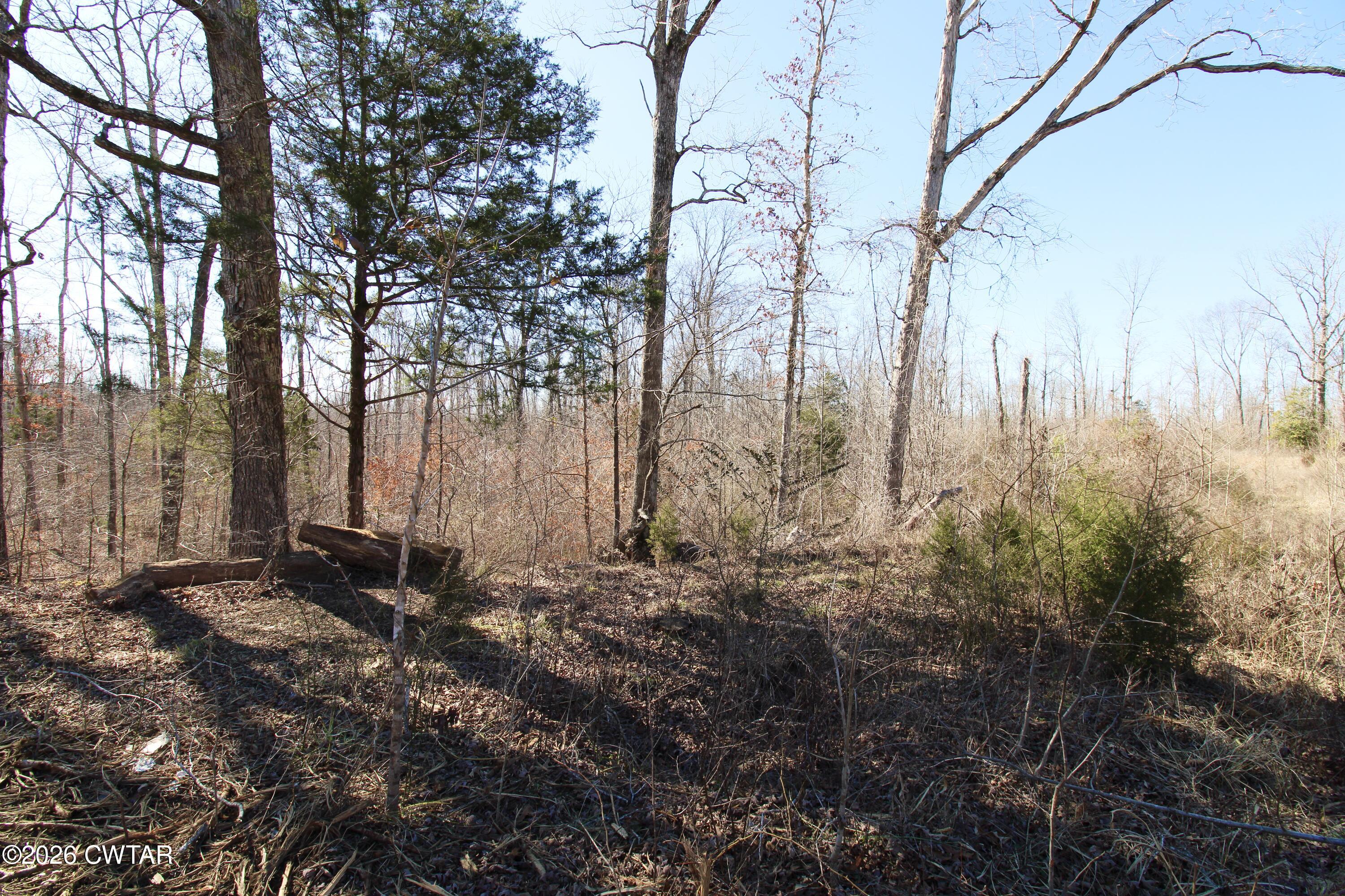 0 Shady Hill Road Lexington, TN 38351 - Photo 6 of 6 a backyard of a house with lots of green space