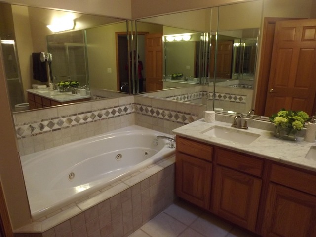 180 Grove Court, Unit 180 Lemont, IL 60439 - Photo 11 of 22 a spacious bathroom with a bathtub sink and mirror