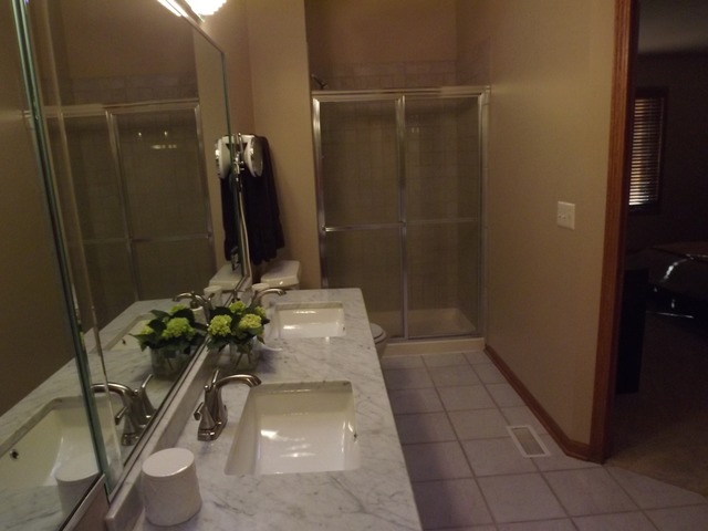 180 Grove Court, Unit 180 Lemont, IL 60439 - Photo 12 of 22 a bathroom with a shower