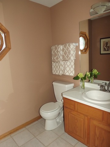 180 Grove Court, Unit 180 Lemont, IL 60439 - Photo 14 of 22 a bathroom with a toilet a sink and mirror
