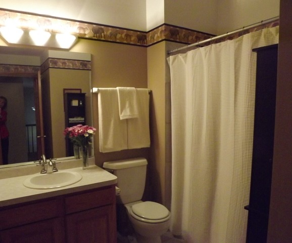 180 Grove Court, Unit 180 Lemont, IL 60439 - Photo 16 of 22 a bathroom with a sink a toilet and shower
