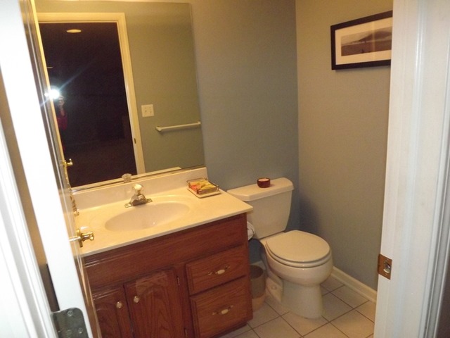 180 Grove Court, Unit 180 Lemont, IL 60439 - Photo 20 of 22 a bathroom with a toilet a sink and mirror