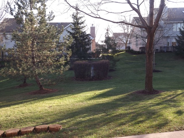 180 Grove Court, Unit 180 Lemont, IL 60439 - Photo 22 of 22 a backyard of a house with lots of green space