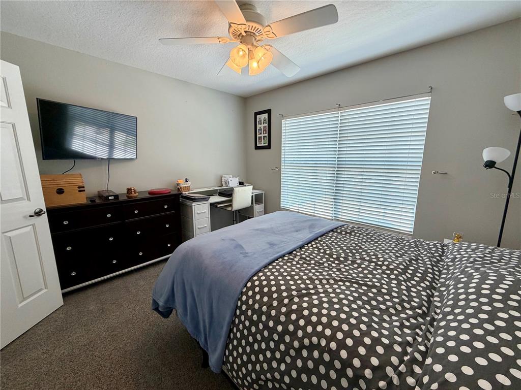 11837 Castine Street New Port Richey, FL 34654 - Photo 25 of 47