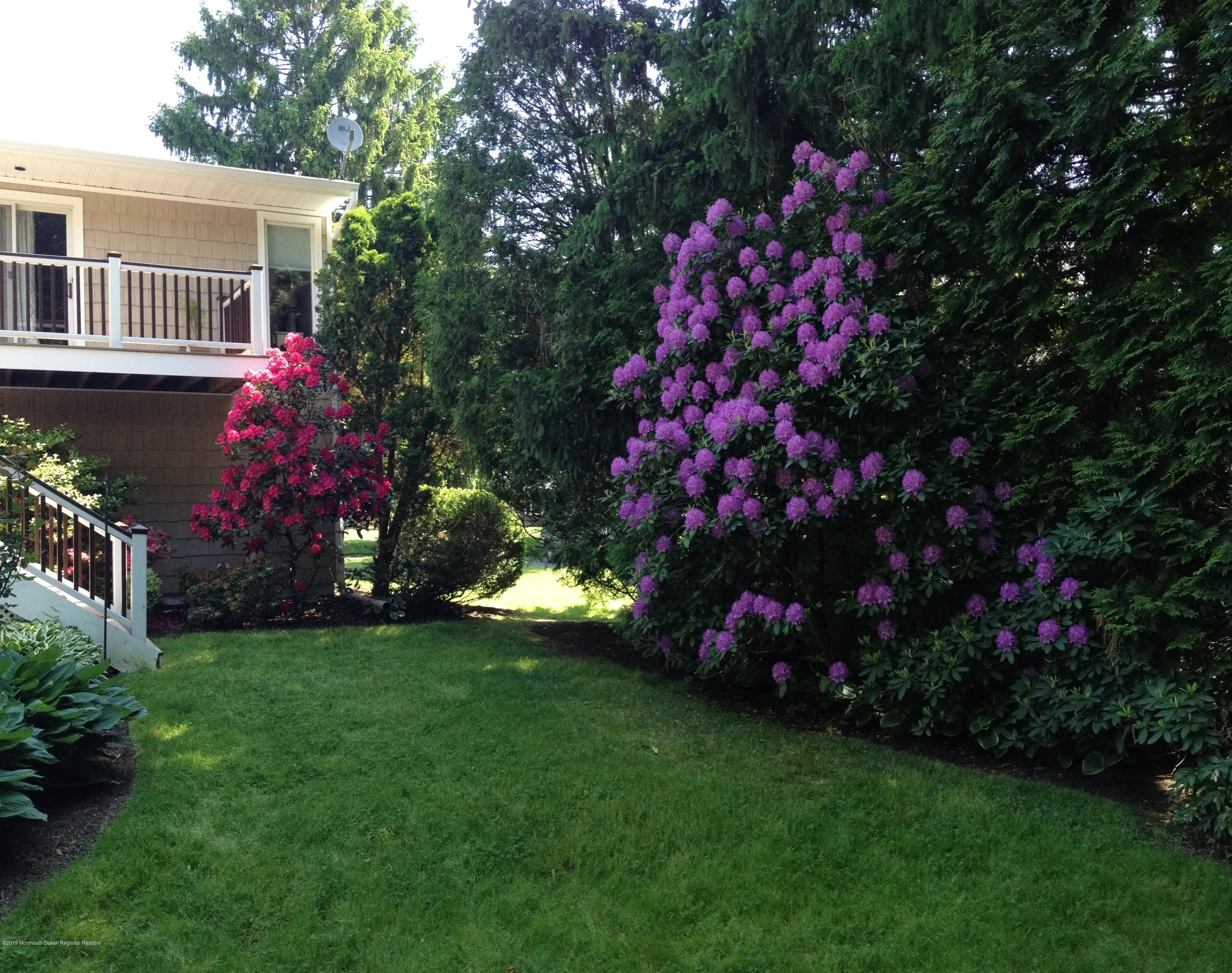904 Riverview Drive Brielle, NJ 08730 - Photo 25 of 25 Shrubs in Full Bloom