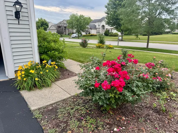 a view of a garden with flowers