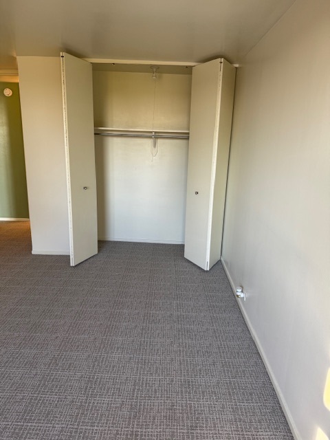 2605 South Indiana Avenue, Unit 708 Chicago, IL 60616 - Photo 12 of 29 a view of closet area