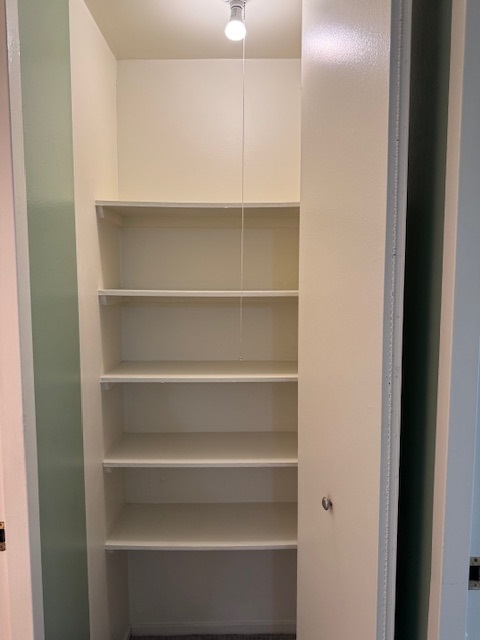2605 South Indiana Avenue, Unit 708 Chicago, IL 60616 - Photo 16 of 29 a view of an empty walk in closet