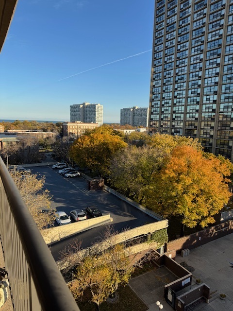 2605 South Indiana Avenue, Unit 708 Chicago, IL 60616 - Photo 24 of 29 a view of swimming pool from a balcony