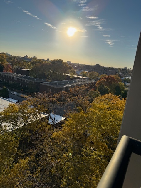 2605 South Indiana Avenue, Unit 708 Chicago, IL 60616 - Photo 25 of 29 a view of a lake from a mountain