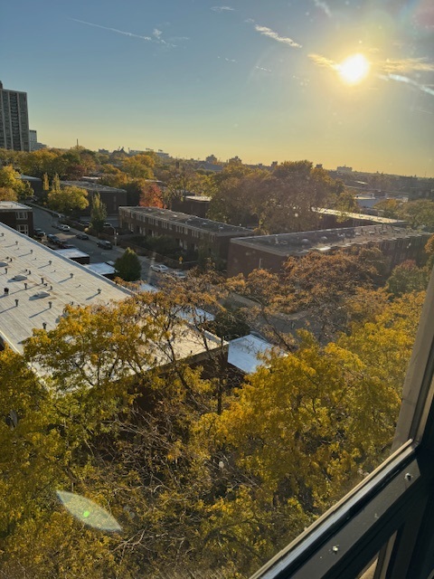 2605 South Indiana Avenue, Unit 708 Chicago, IL 60616 - Photo 26 of 29 a view of a lake from a mountain