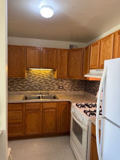 2605 South Indiana Avenue, Unit 708 Chicago, IL 60616 - Photo 9 of 29 a kitchen with a stove a sink and a refrigerator