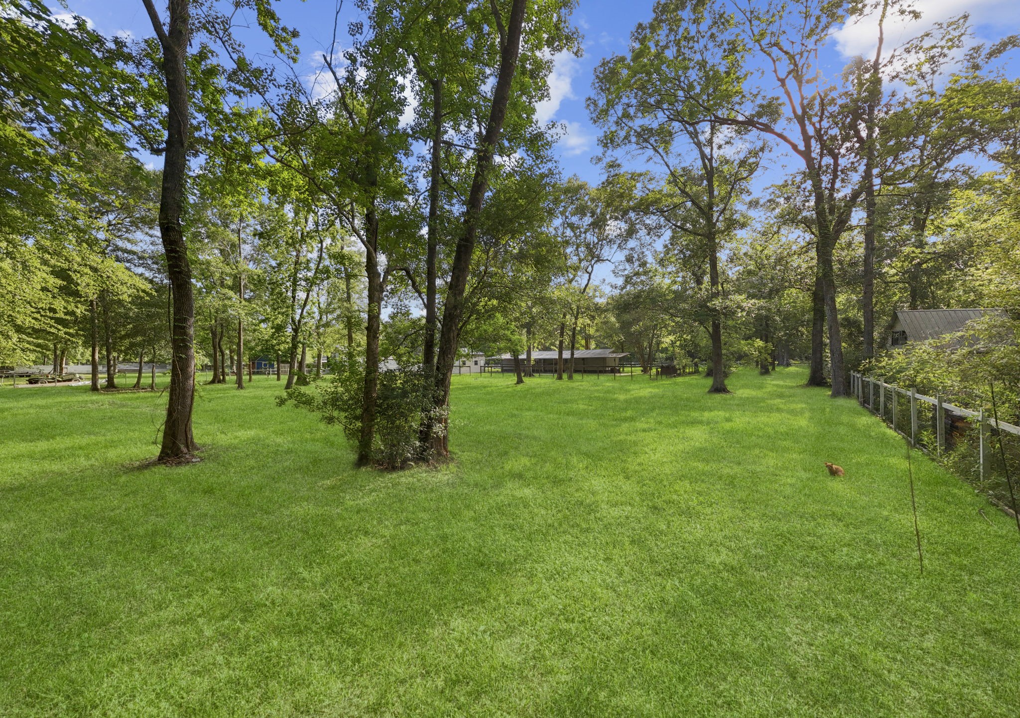 100 County Road 6478 Dayton, TX 77535 - Photo 10 of 40