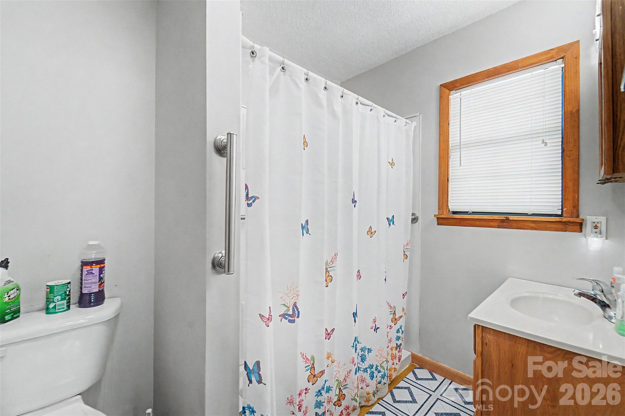 168 Grizzly Ridge Road Sylva, NC 28779 - Photo 24 of 40