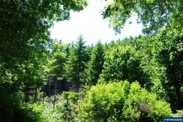 $397,000 | 0 Kings Valley Highway, Monmouth, OR 97361