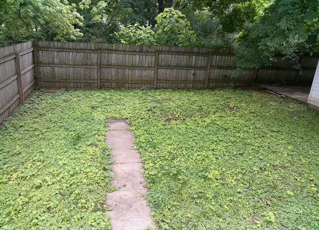 a view of a backyard with wooden fence