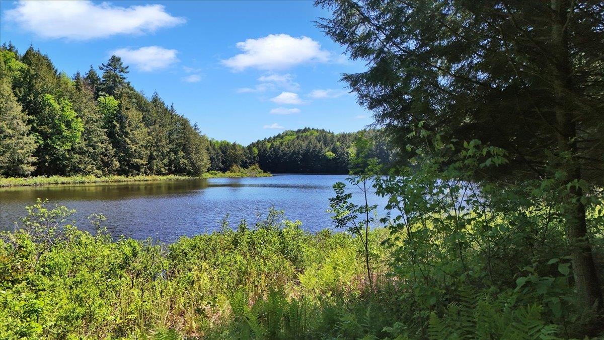 Lot 16 Barnett Road East Calais, VT 05650 - Photo 21 of 26