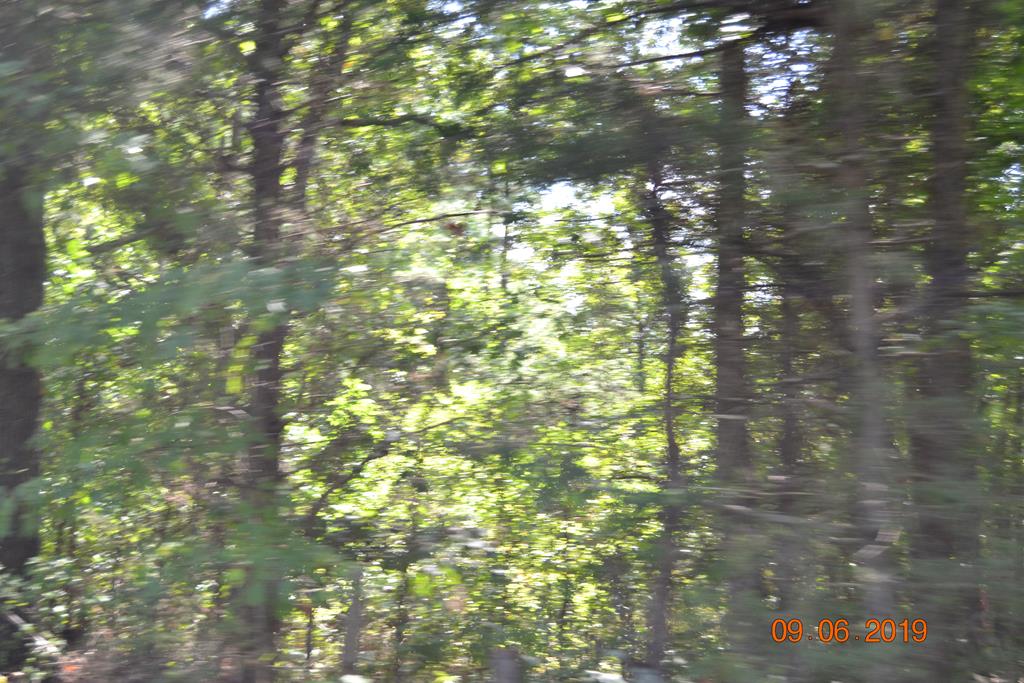 665 Darlington Heights Road Cullen, VA 23934 - Photo 1 of 10 Gallery Image 1
