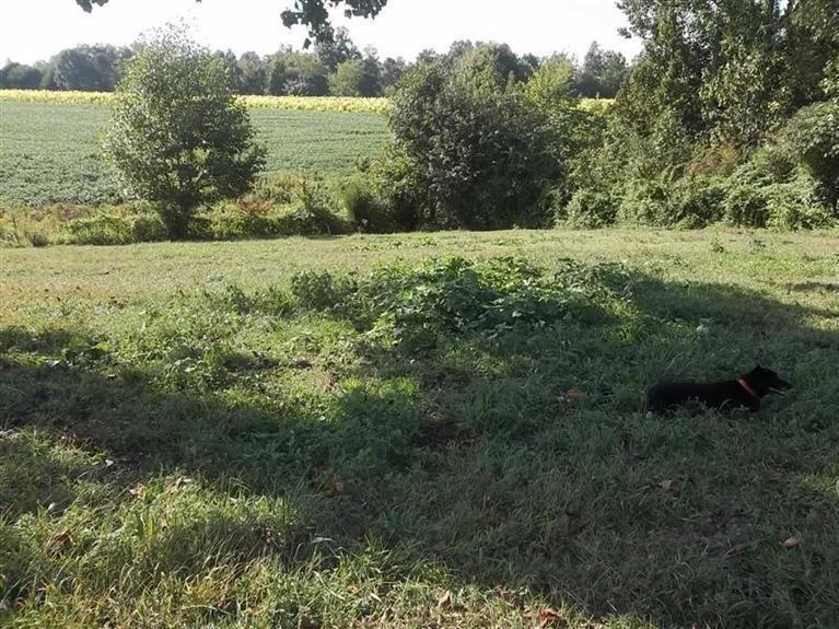 100 Leon Glass Road Eubank, KY 42567 - Photo 5 of 10 Additional Photo