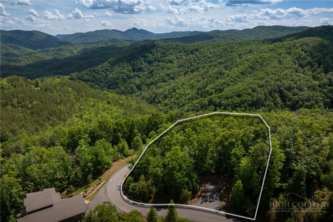 75 Lobelia Lane Boone, NC 28607 - Photo 11 of 50