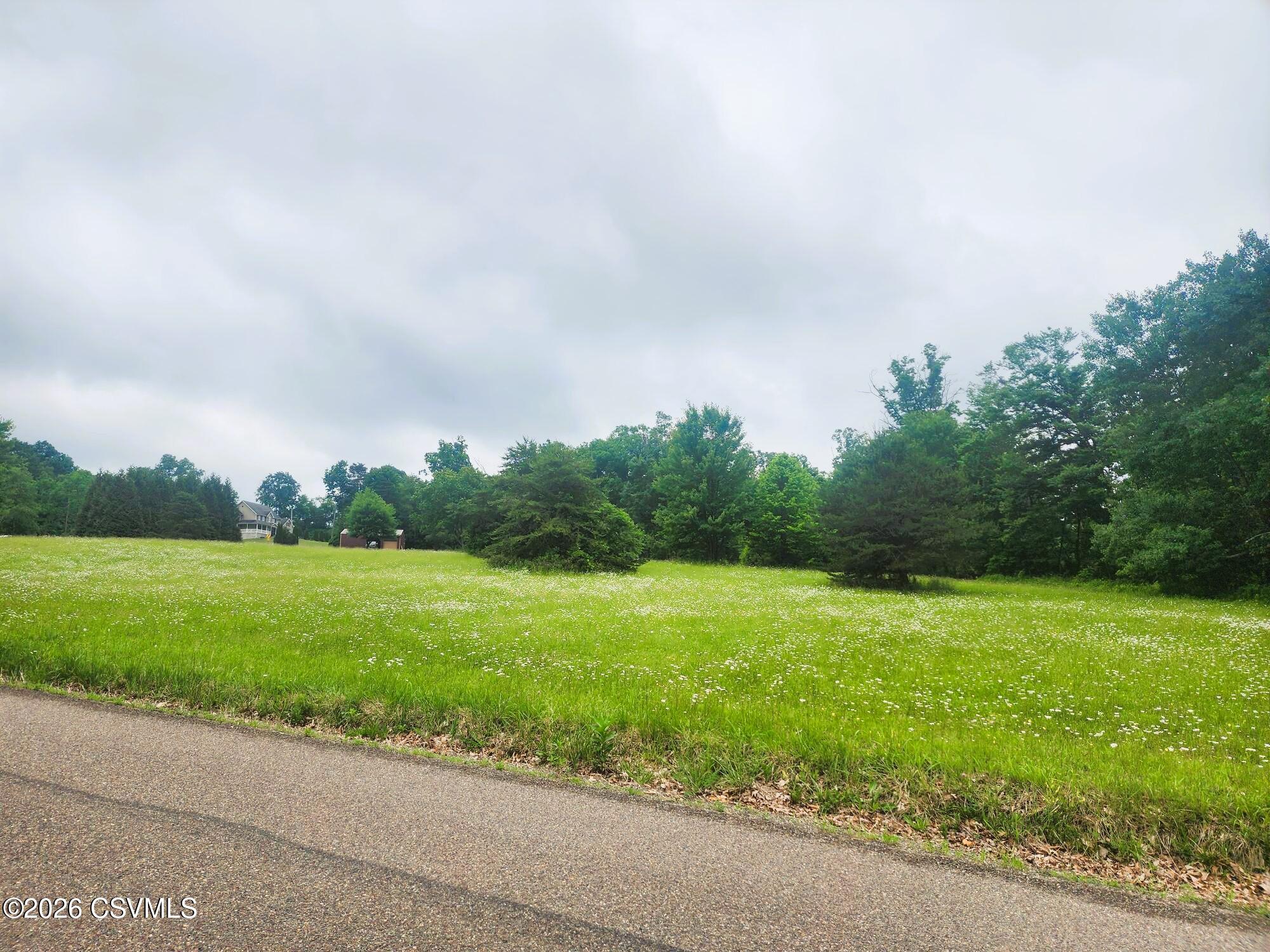 Lot #3 Shamrock Road Paxinos, PA 17860 - Photo 3 of 3 a view of a grassy field with trees in the background