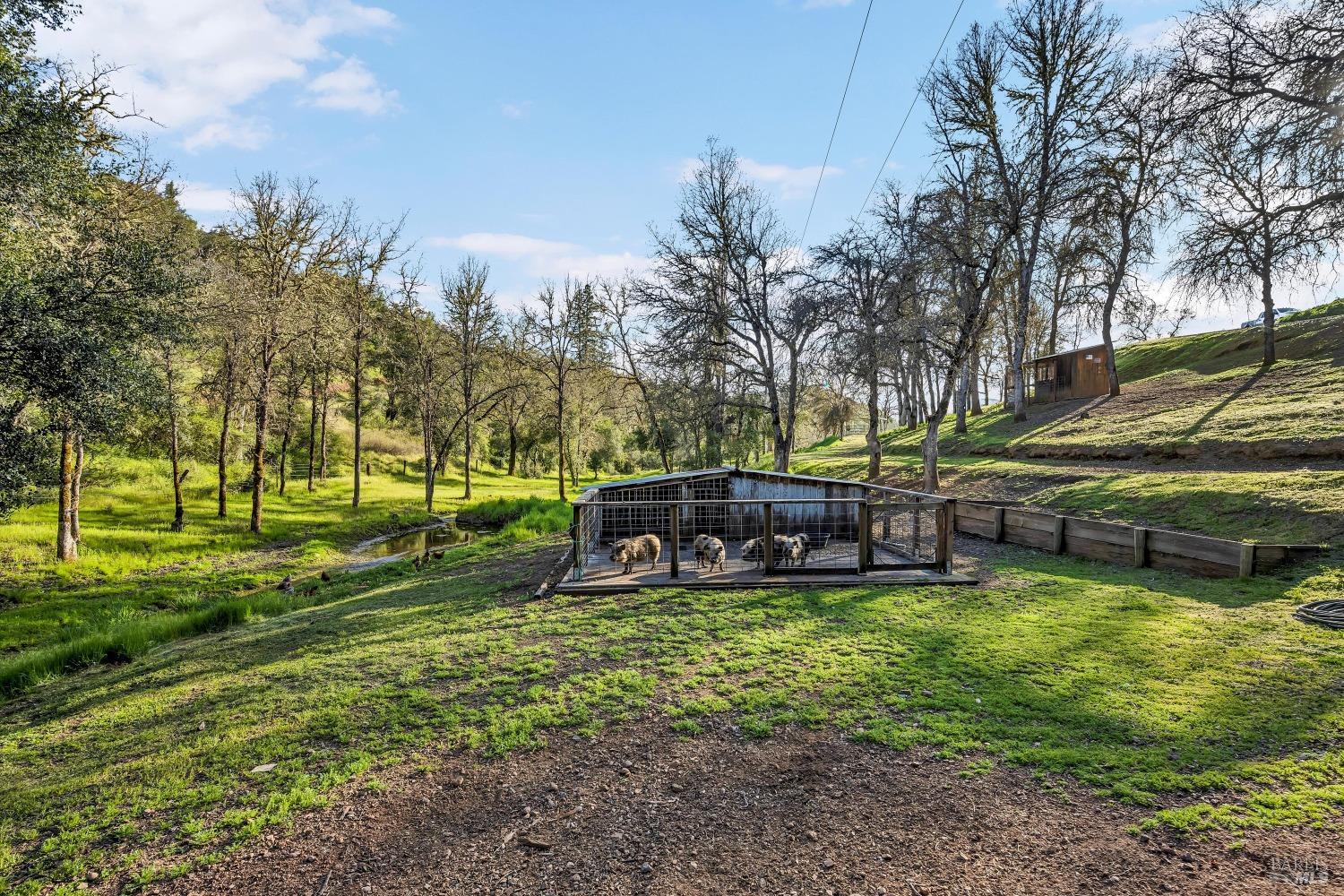 5963 Eickhoff Road Lakeport, CA 95453 - Photo 36 of 51 a view of a park with large trees