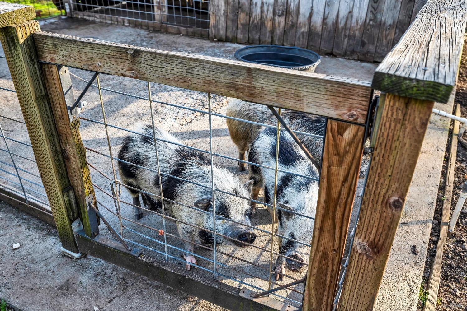 5963 Eickhoff Road Lakeport, CA 95453 - Photo 38 of 51 a view of a house with a door