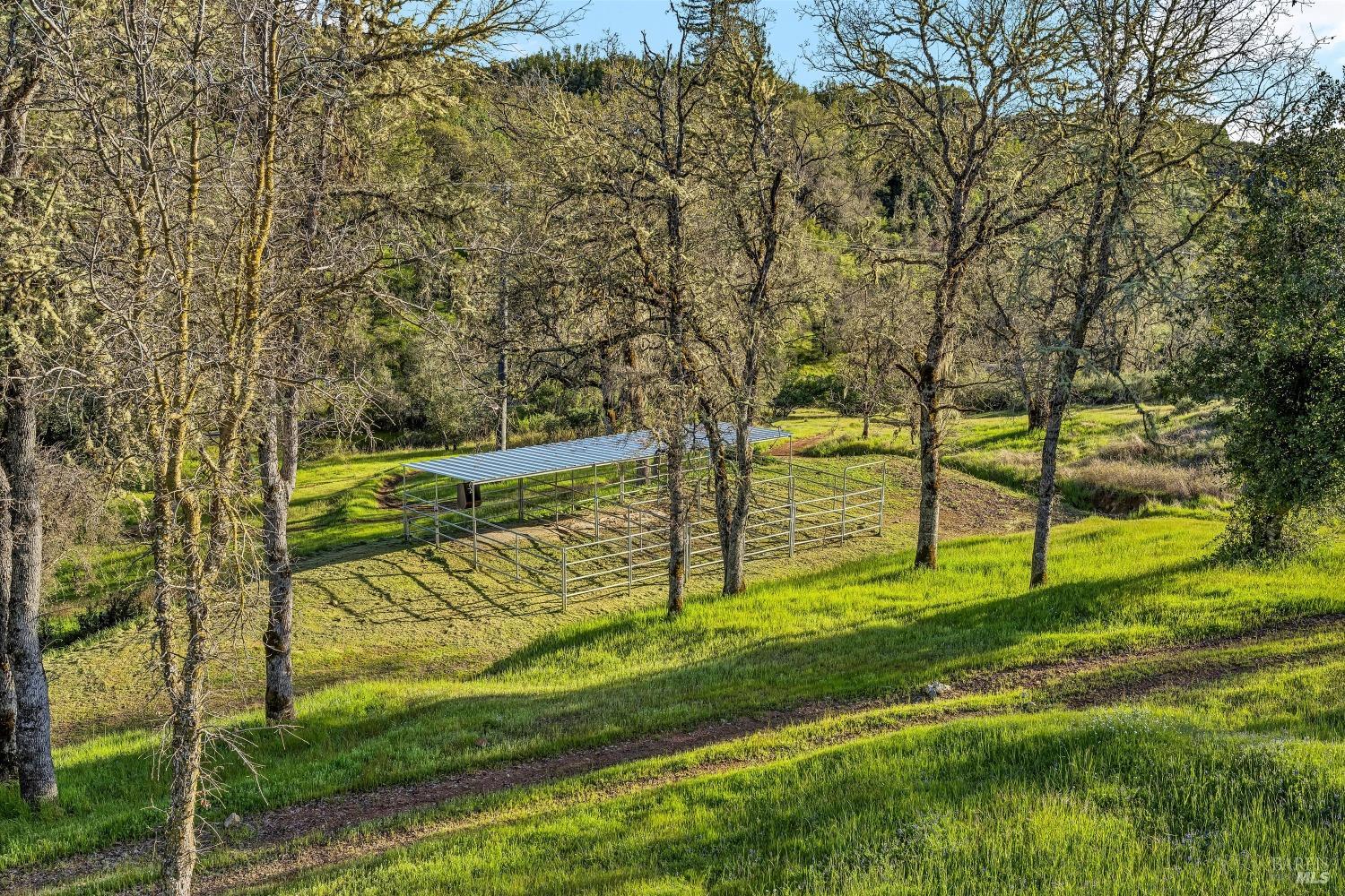 5963 Eickhoff Road Lakeport, CA 95453 - Photo 39 of 51 a view of a park with large trees