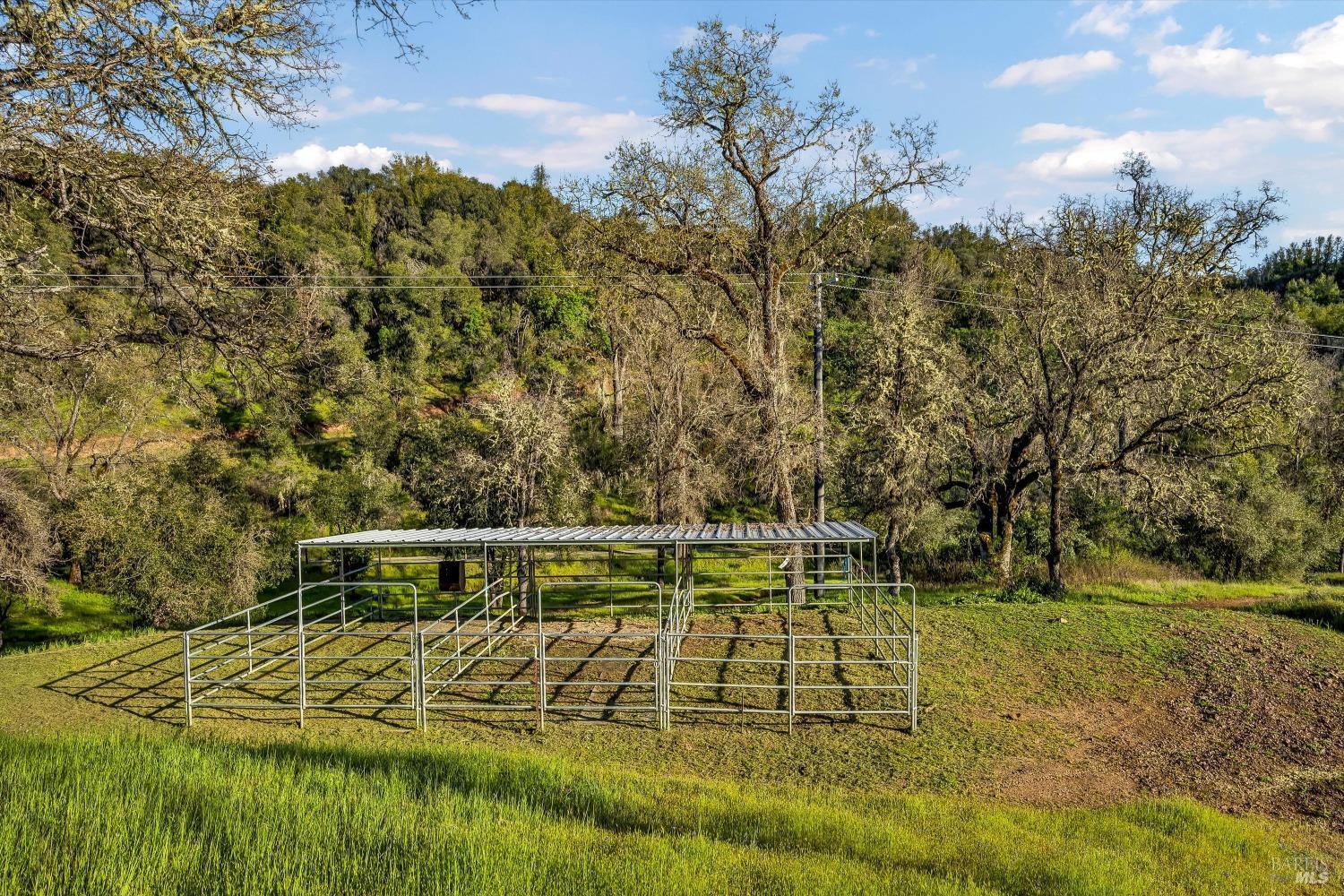 5963 Eickhoff Road Lakeport, CA 95453 - Photo 48 of 51 a view of a yard with a tree