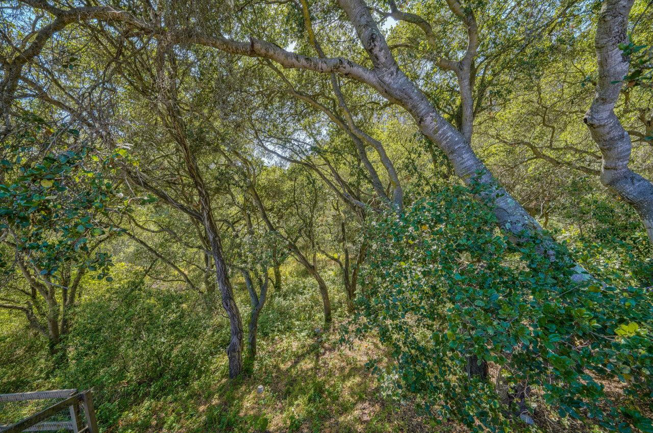 365 Vega Road Watsonville, CA 95076 - Photo 26 of 31 Gallery Image 26