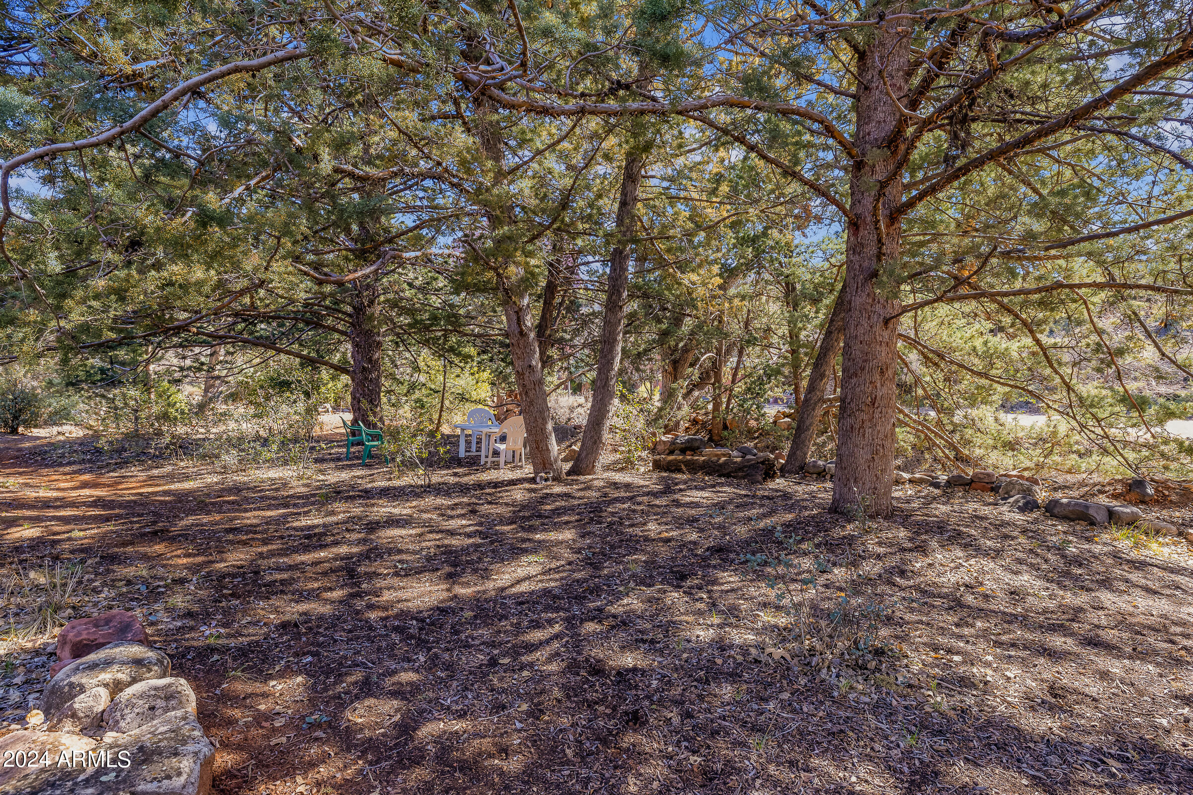 333 Schnebly Hill Road Sedona, AZ 86336 - Photo 55 of 69 a view of a forest with trees