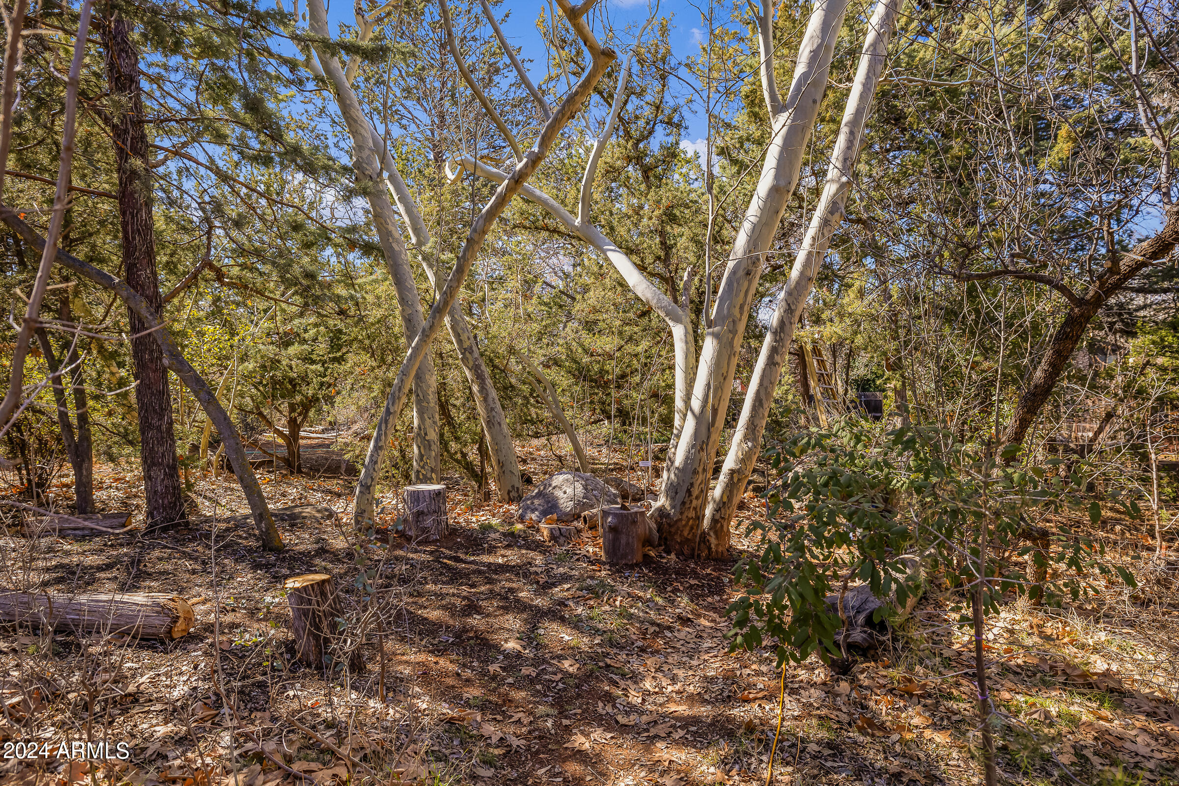 333 Schnebly Hill Road Sedona, AZ 86336 - Photo 57 of 69 333 Schnebly Hill Rd-15