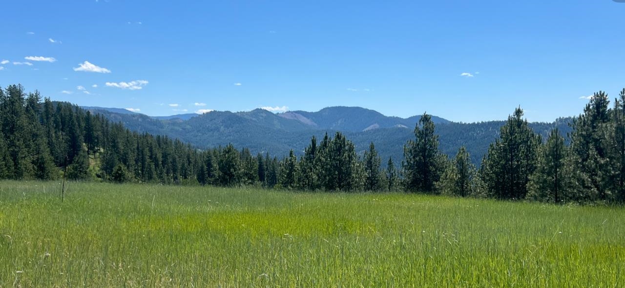 3635 B Breckenridge Road Rice, WA 99167 - Photo 13 of 16