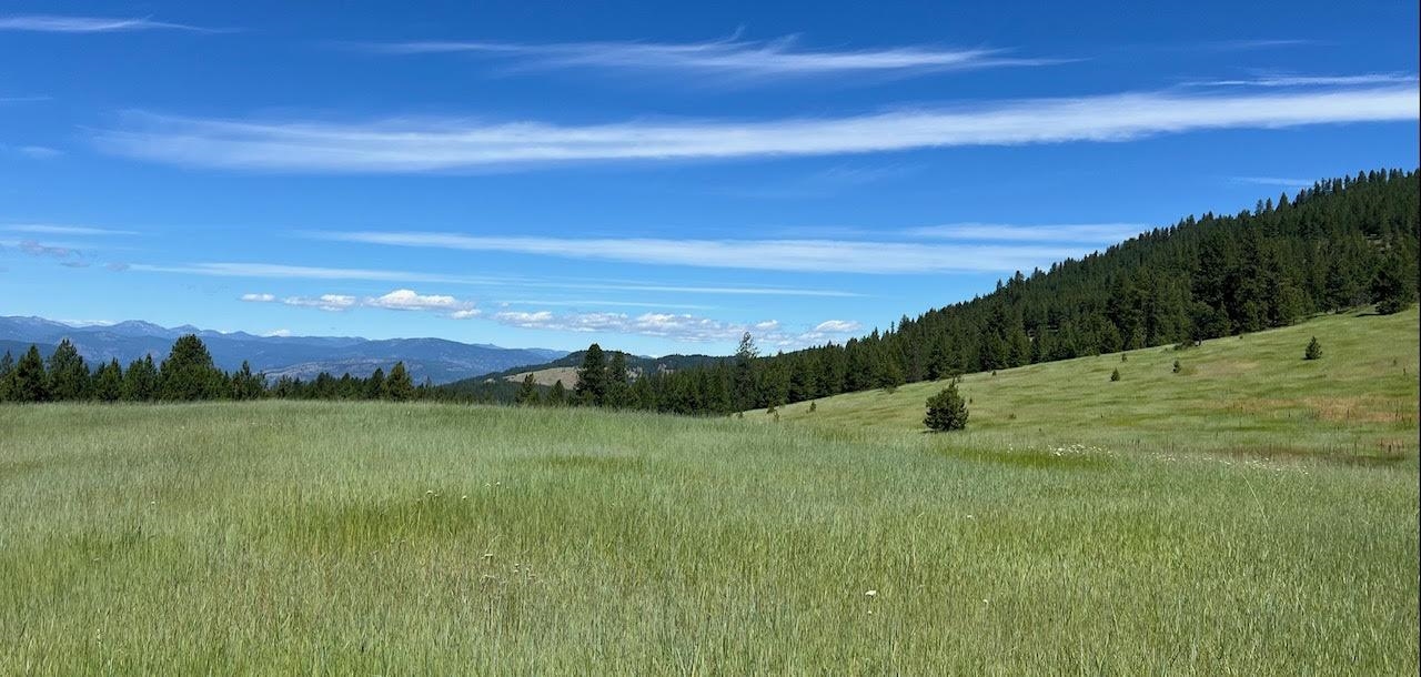 3635 B Breckenridge Road Rice, WA 99167 - Photo 2 of 16