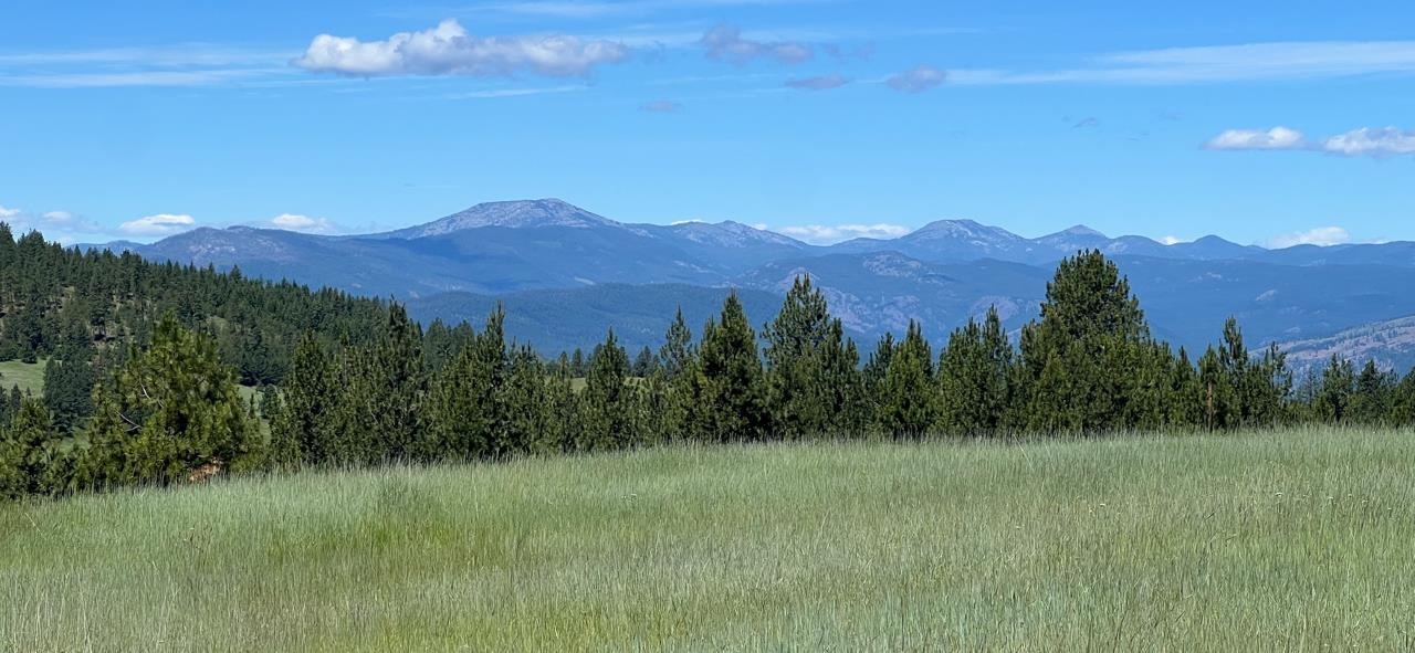 3635 B Breckenridge Road Rice, WA 99167 - Photo 5 of 16