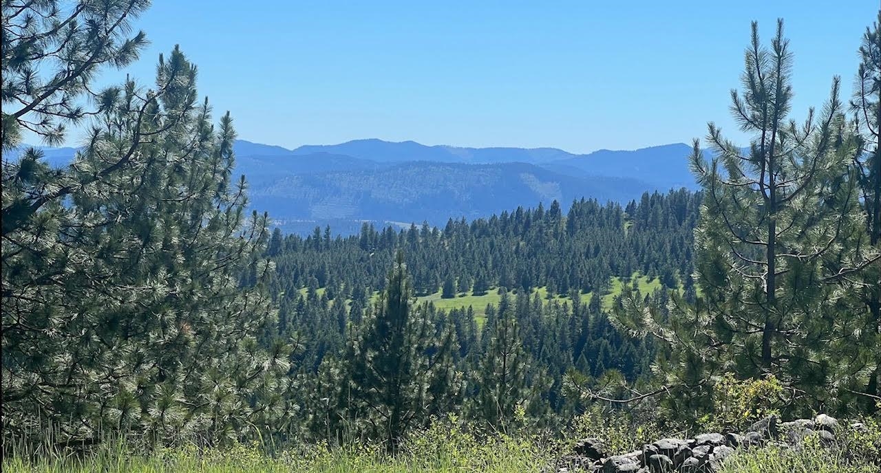 3635 B Breckenridge Road Rice, WA 99167 - Photo 6 of 16