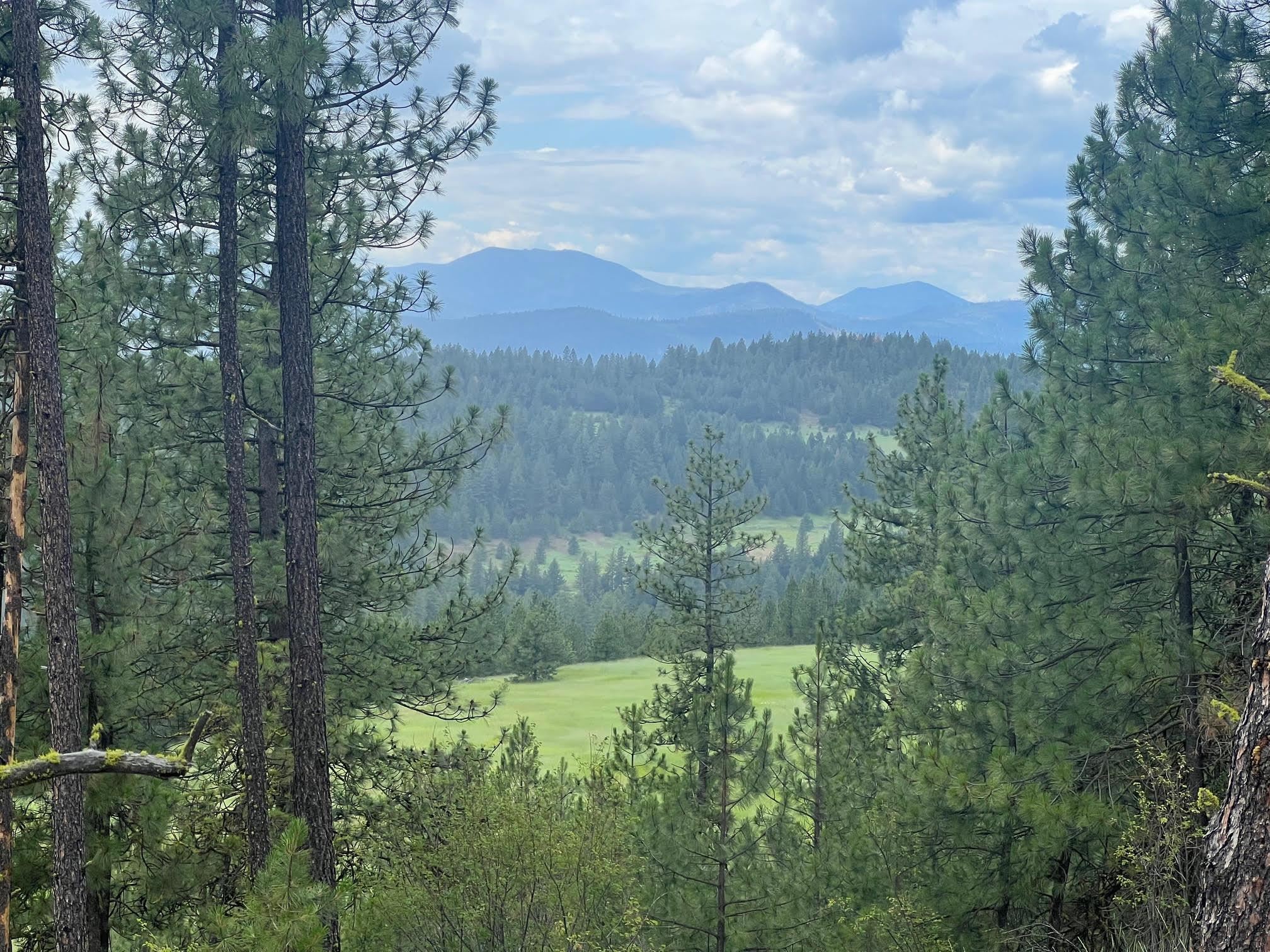 3635 B Breckenridge Road Rice, WA 99167 - Photo 10 of 16