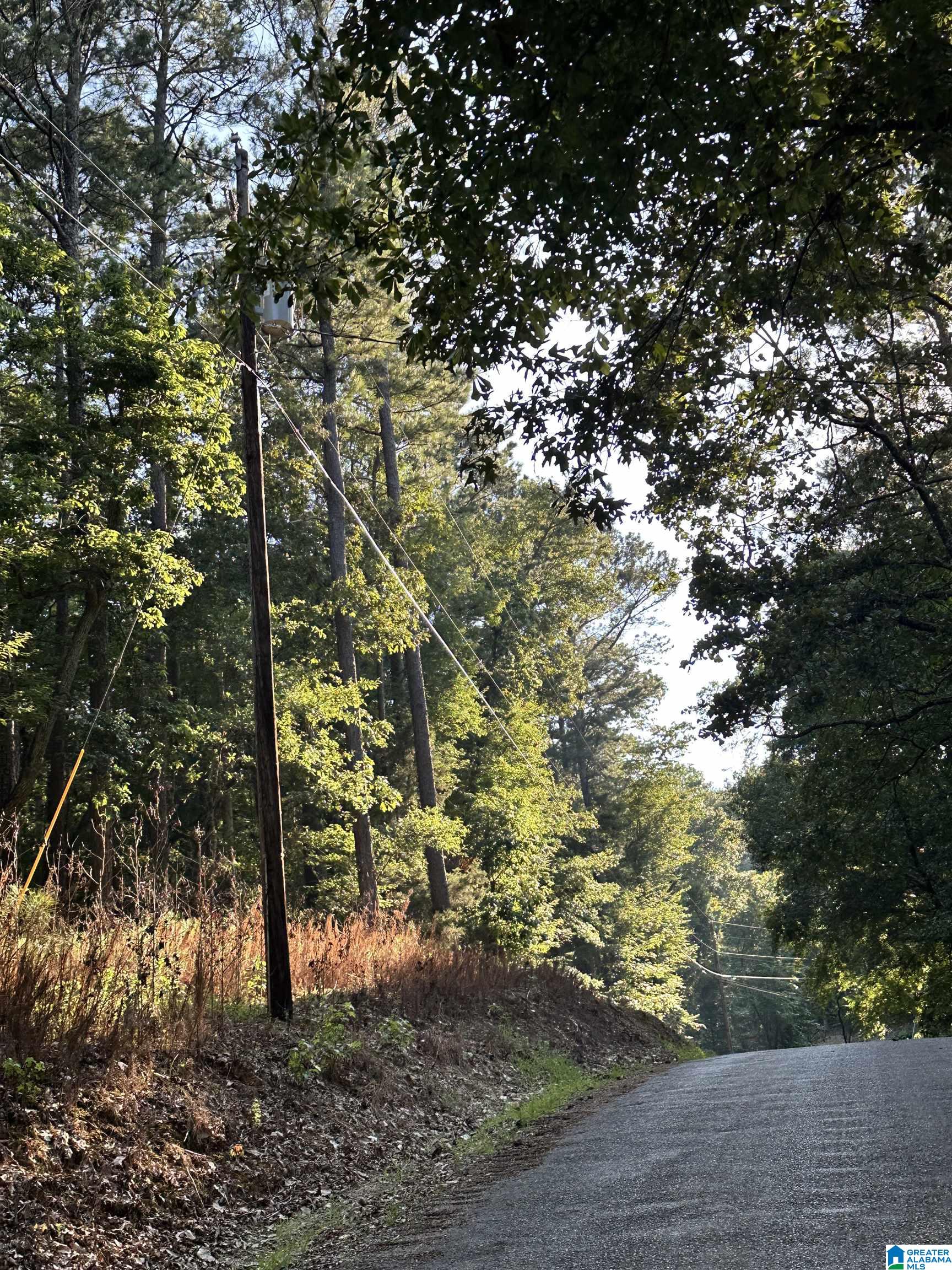 500 Black Acres Road, Unit 27 Cropwell, AL 35054 - Photo 24 of 25